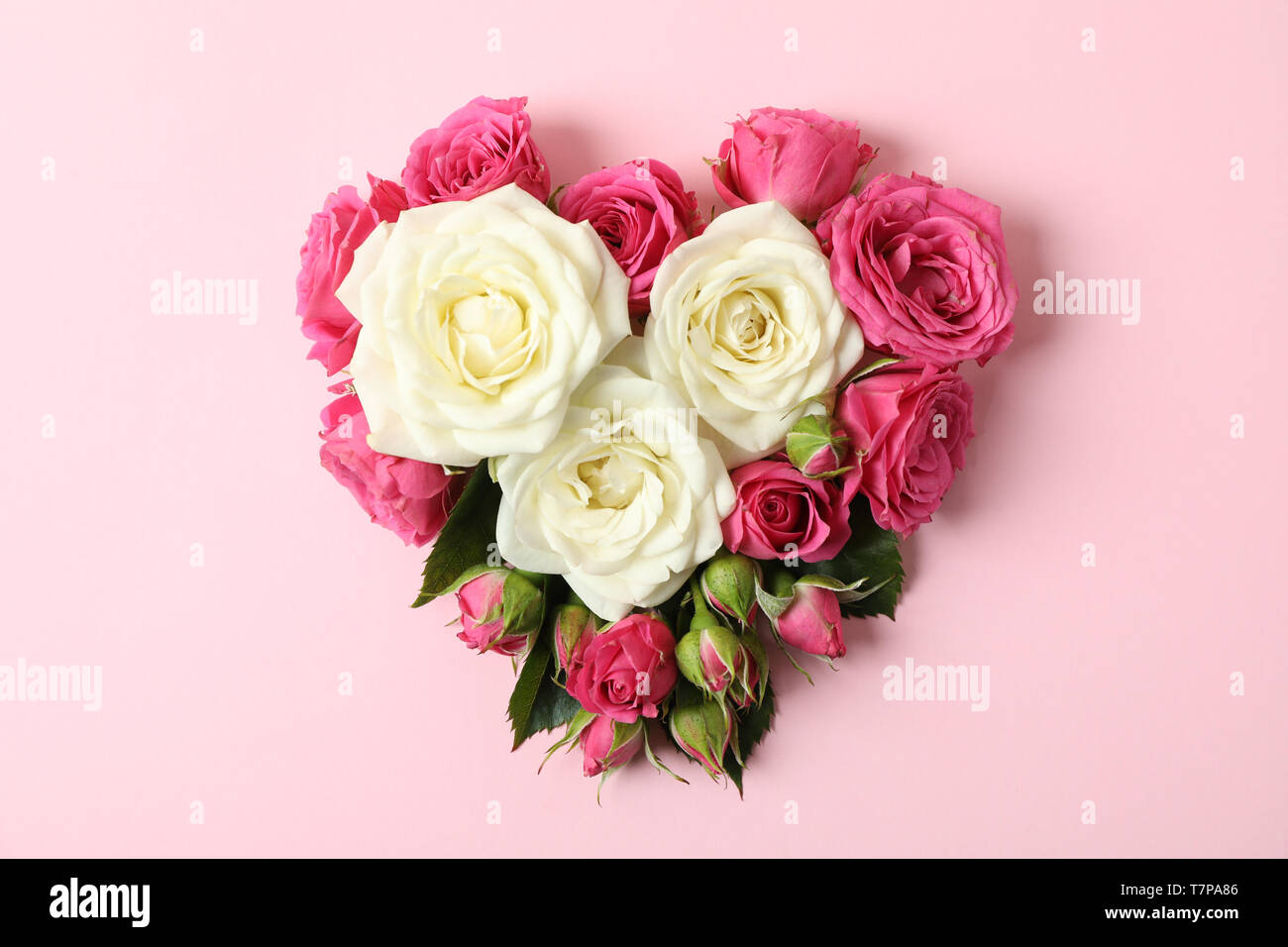 Beautiful roses in shape of heart on color background Stock Photo