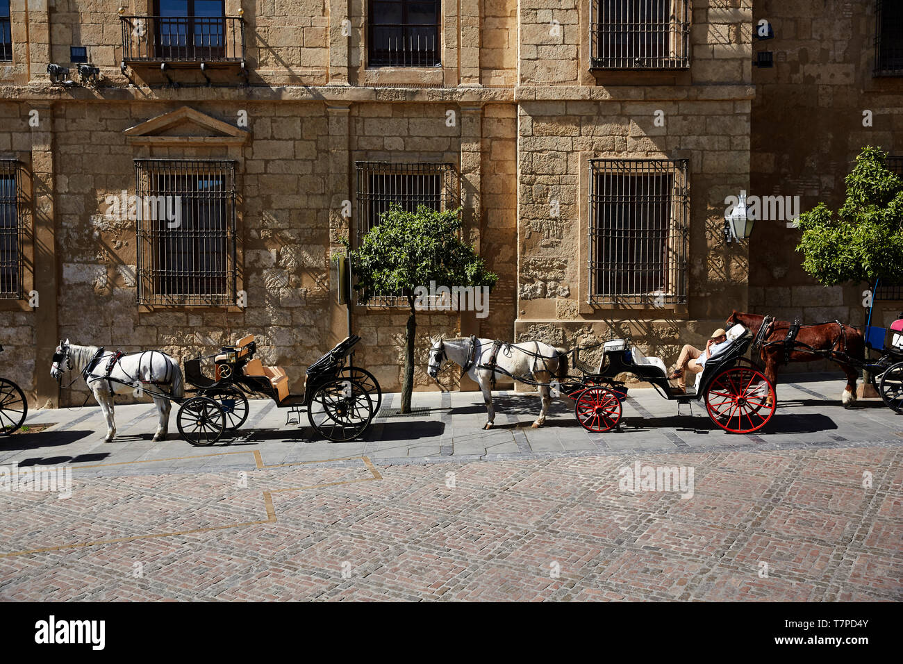 Horses and carriages in the historic centre of Cordoba in Andalusia Stock Photo