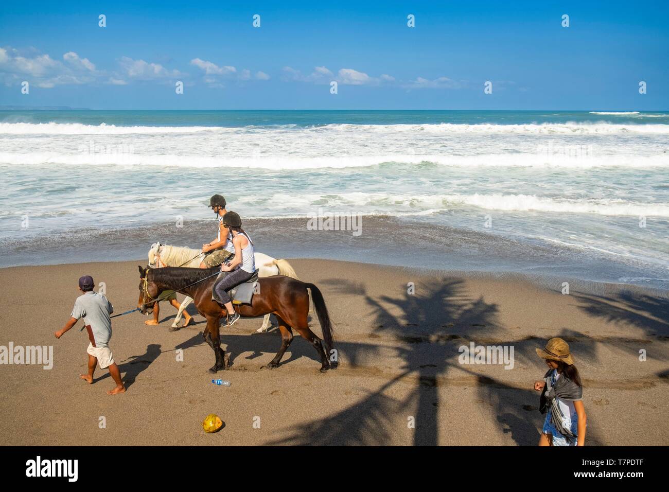 Horse Ride Bali Stock Photos Horse Ride Bali Stock Images