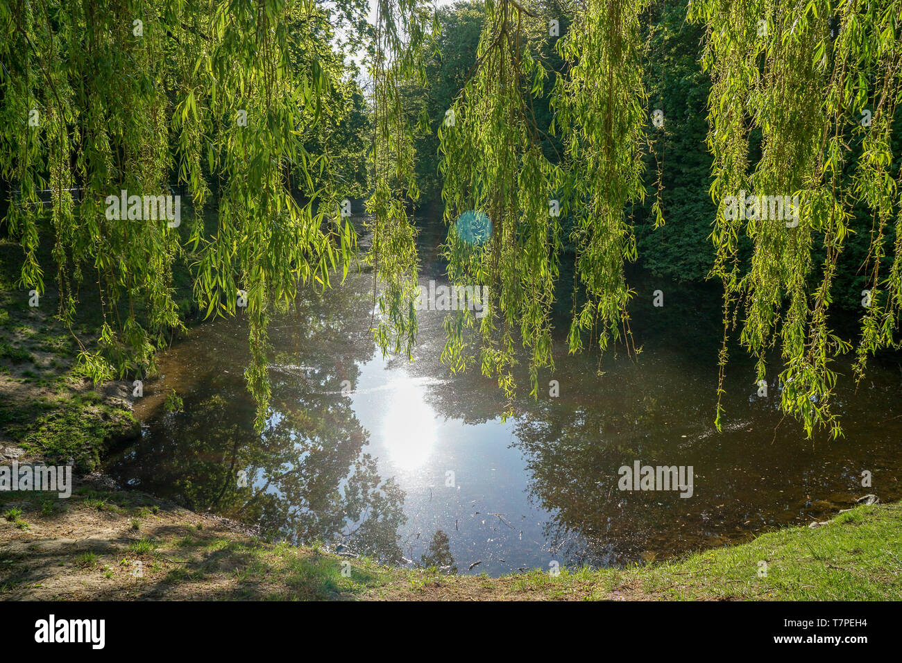 Sun reflection on water surface hi-res stock photography and images - Alamy