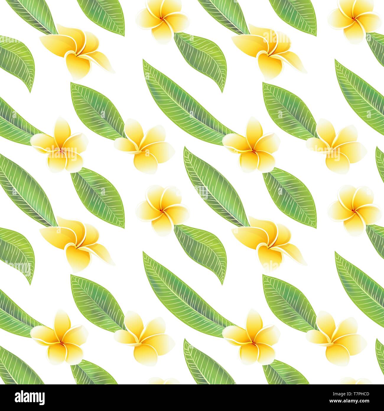 Exotic tropical flowers hibiscus frangipani and green leaves seamless pattern Stock Vector
