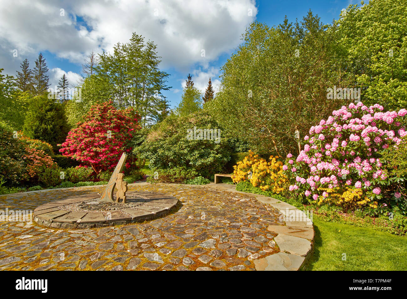 ATTADALE GARDENS STRATHCARRON WESTER ROSS SCOTLAND  IN SPRINGTIME WITH LARGE  SUN DIAL AND A WILDCAT HOLDING THE GNOMON SURROUNDED BY RED AND PINK RHO Stock Photo