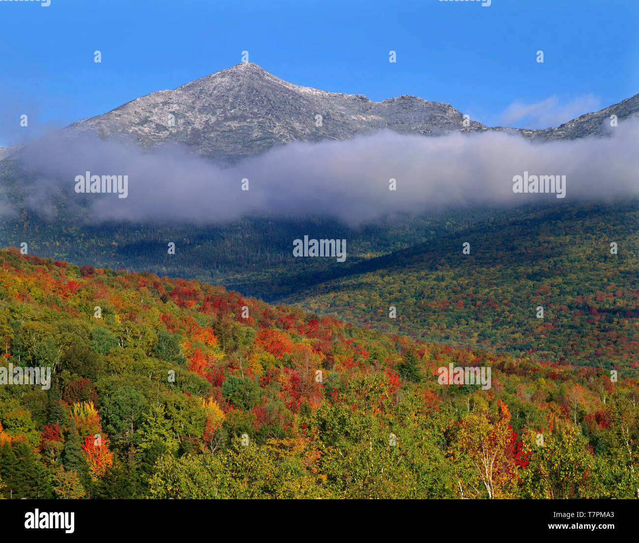 USA, New Hampshire, White Mountain National Forest, Fall colored slopes