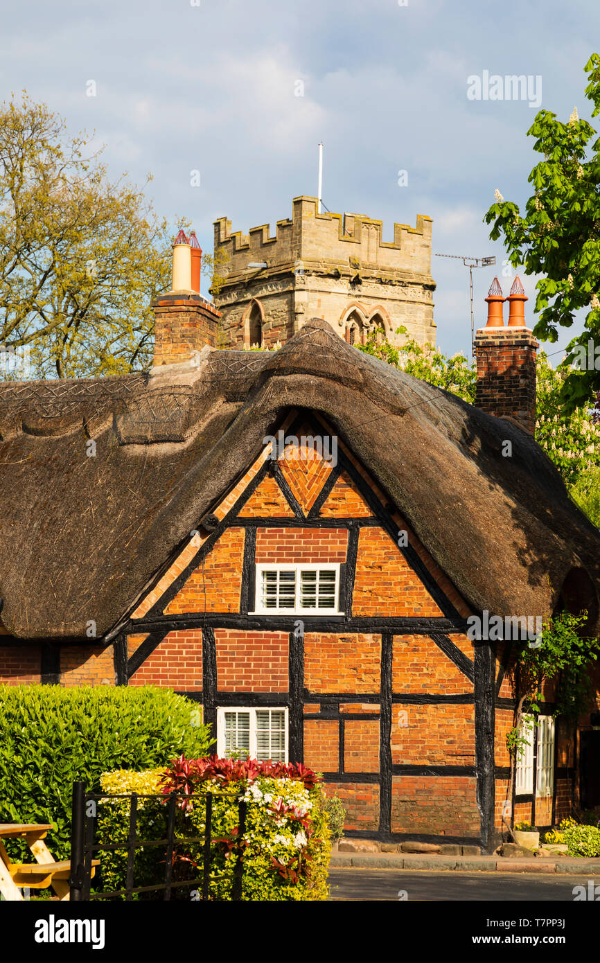 Grade II listed, The Old Forge, timber framed, thatched cottage, with St Peters church in the  village of Dunchurch, near Rugby, Warwickshire, Stock Photo