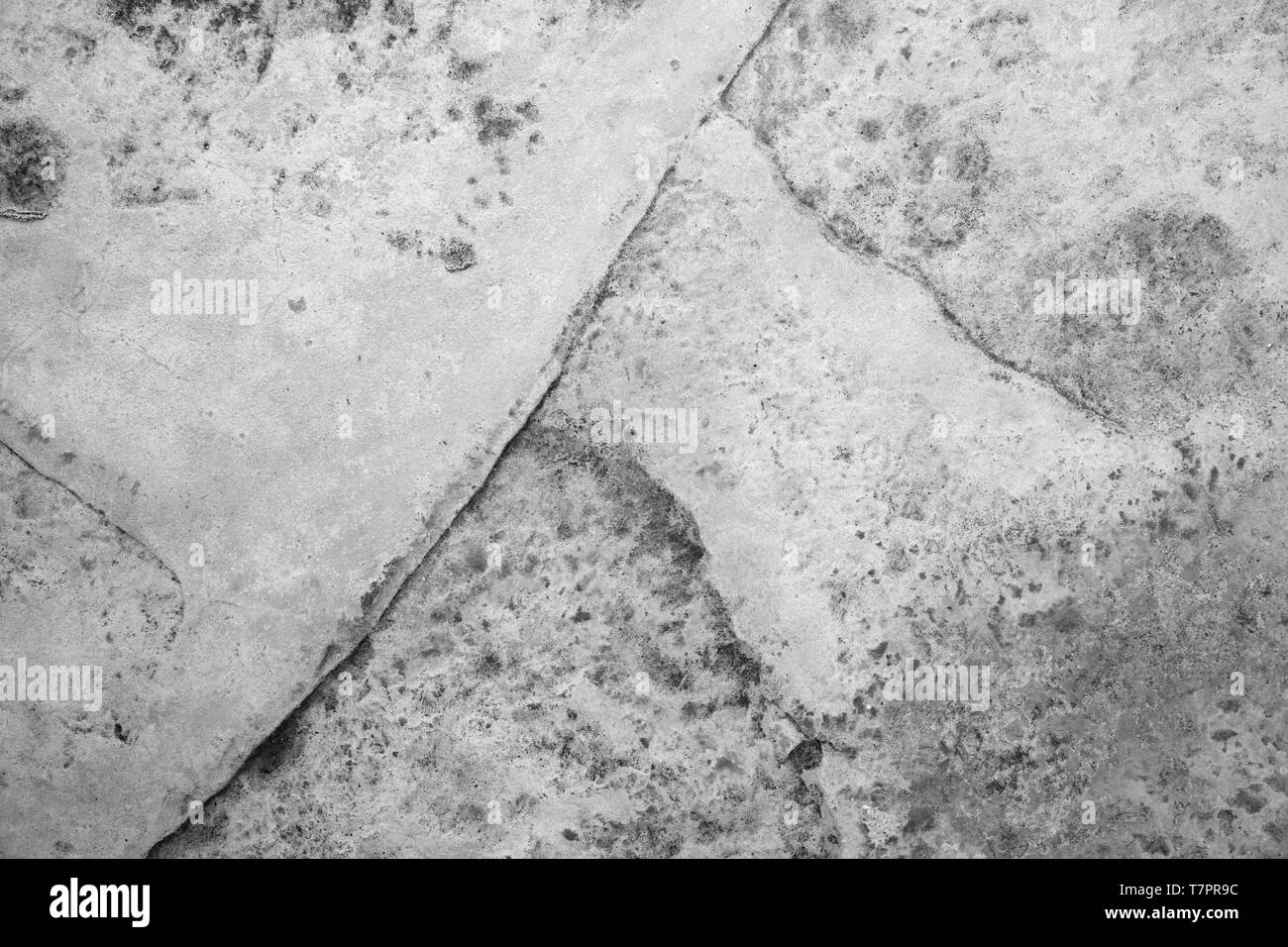 Texture of the concrete floor as a background, copy space for text or content. Stock Photo