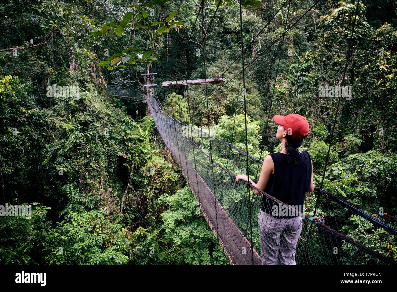 Malaysia, Borneo, Sarawak, Gunung Mulu National Park listed as World Heritage by UNESCO, woman at the Canopy walk in the rainforest Stock Photo