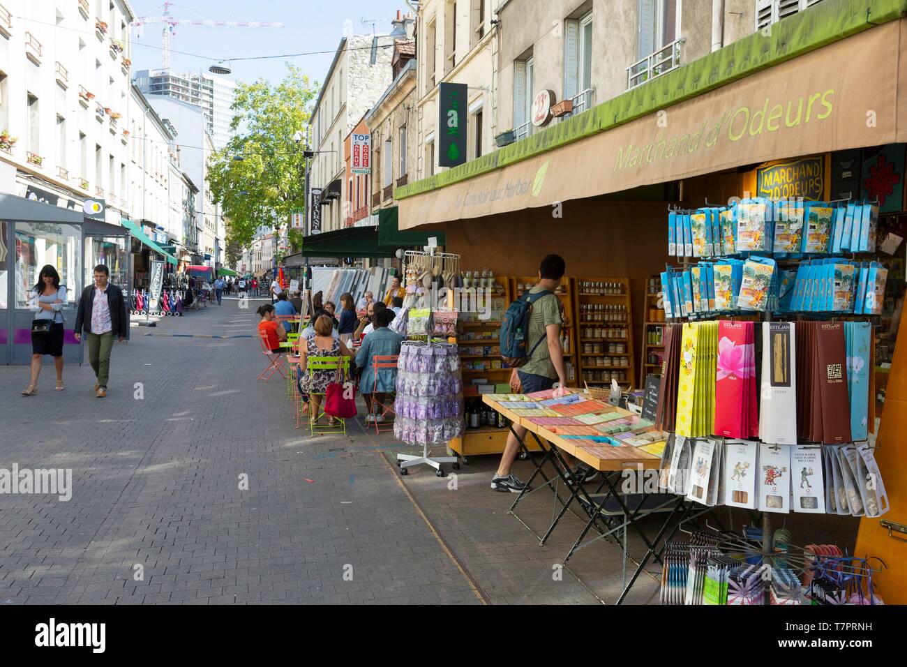 France, Seine Saint Denis, Montreuil, the pedestrian boulevard Rouget de Lisle Stock Photo