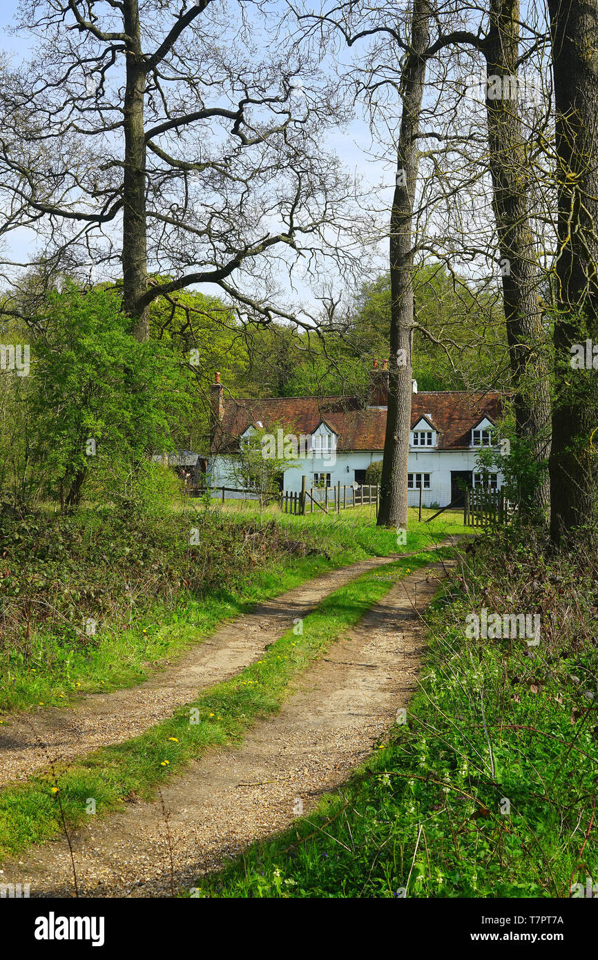 Knebworth park hires stock photography and images Alamy
