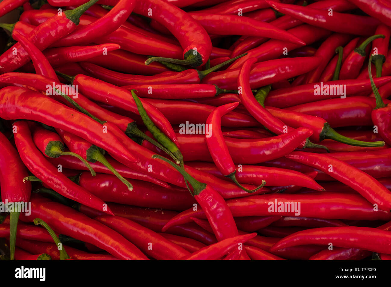 Thailand market red green chilli hi-res stock photography and images ...
