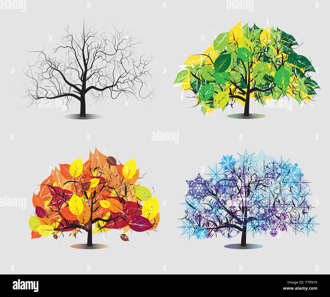 Four seasons tree Stock Vector Image & Art - Alamy