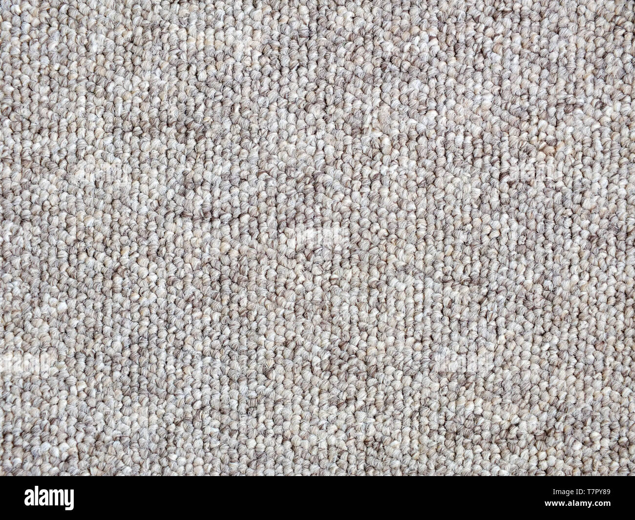 Beige Carpet Texture Close Up Stock Photo