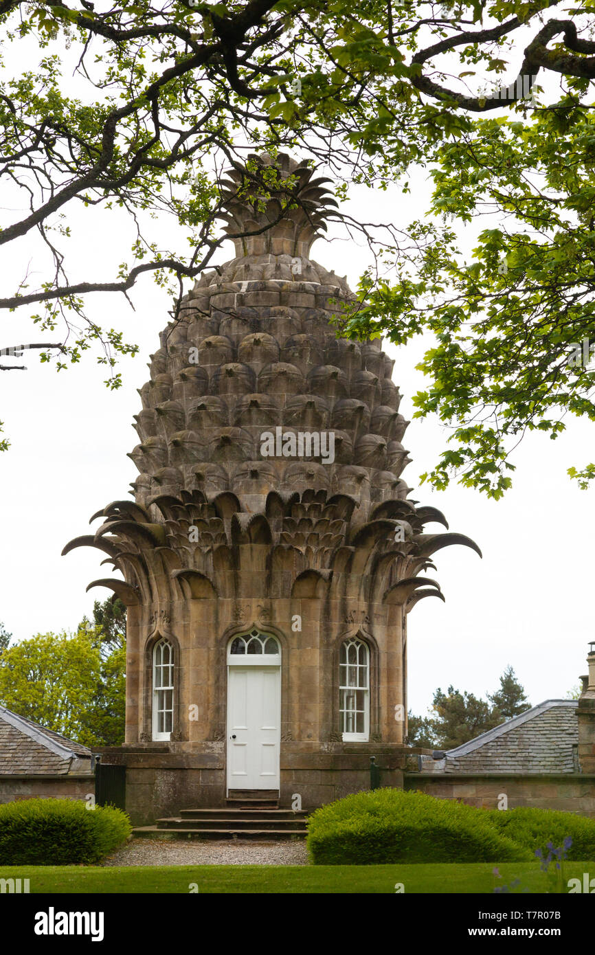 The Pineapple, architecture at a unique folly in Central Scotland Stock