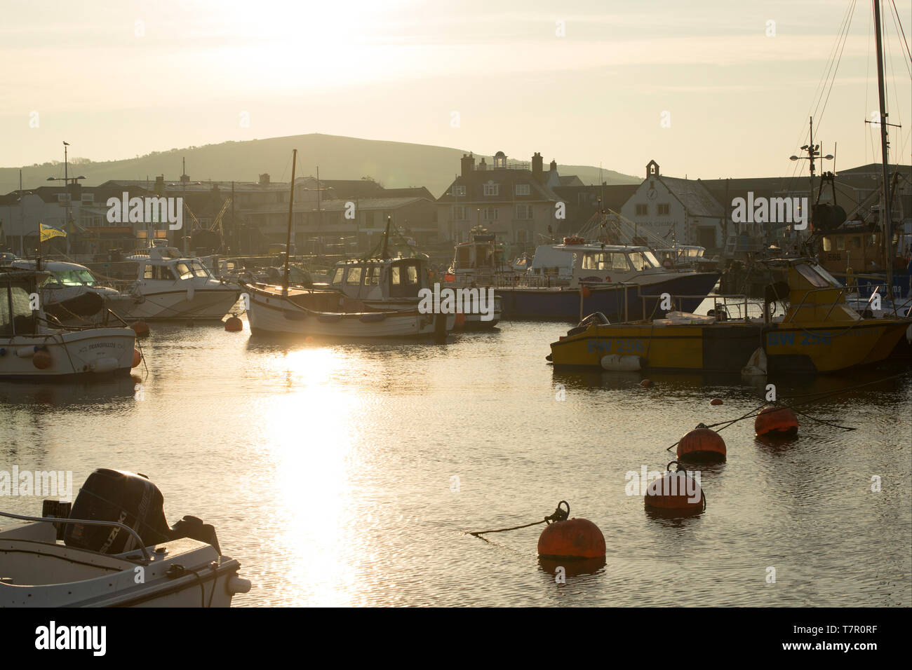 Mooring buoys and vessels in West Bay harbour at dawn. Dorset England