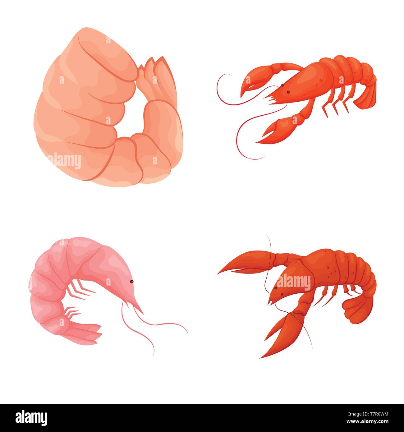 Cartoon red shrimp crab lobster Cut Out Stock Images & Pictures - Alamy