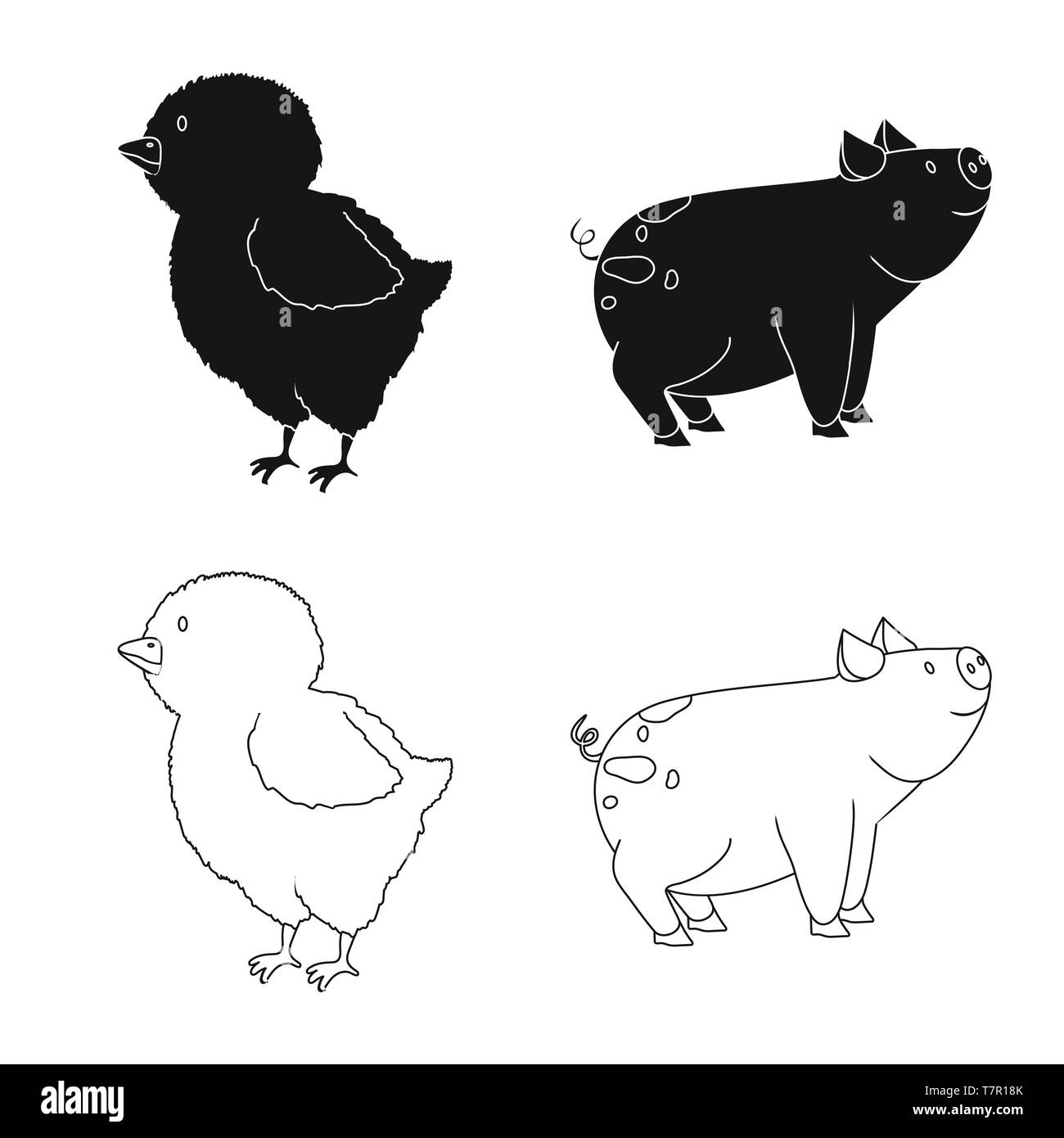 chick,pig,easter,animal,chicken,pork,cute,meat,baby,piglet,egg,pet,yellow,hog,bird,bacon,funny,boar,breeding,kitchen,ranch,organic,farm,food,homemade,countryside,homestead,agriculture,set,vector,icon,illustration,isolated,collection,design,element,graphic,sign, Vector Vectors , Stock Vector