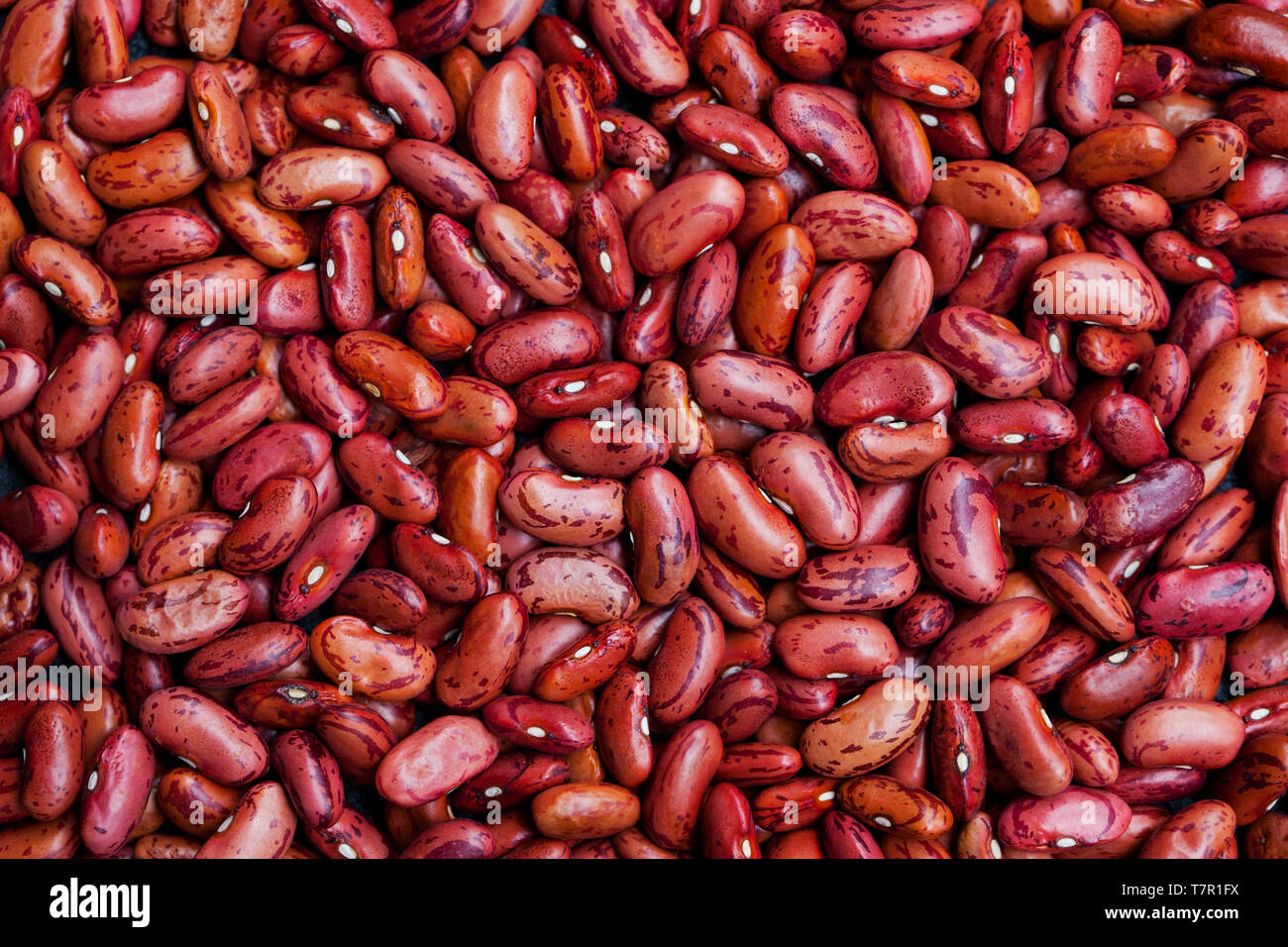 Red kidney beans, lentil. Top view. Copy space Stock Photo Alamy