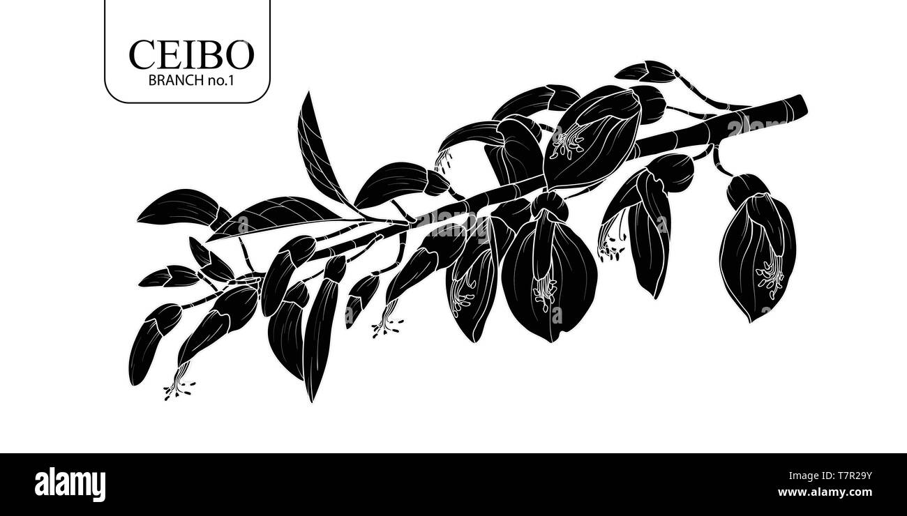 Cute hand drawn silhouette Ceibo branch set 1. Flower vector illustration in white outline and black plane on white background. Stock Vector