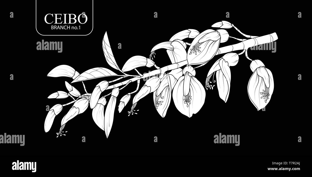 Cute hand drawn white silhouette Ceibo branch set 1. Flower vector illustration in white plane without outline on black background. Stock Vector