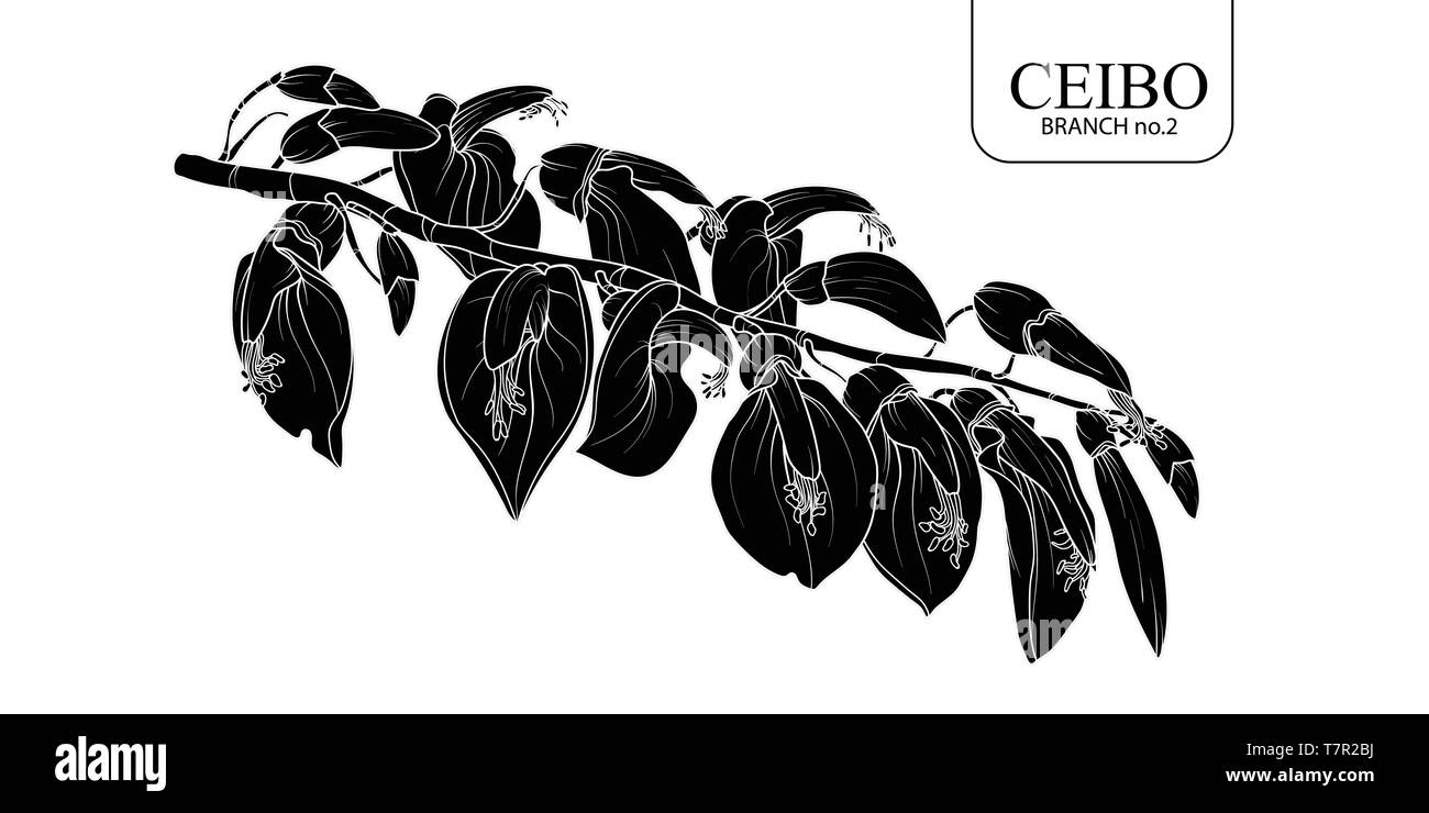Cute hand drawn silhouette Ceibo branch set 2. Flower vector illustration in white outline and black plane on white background. Stock Vector