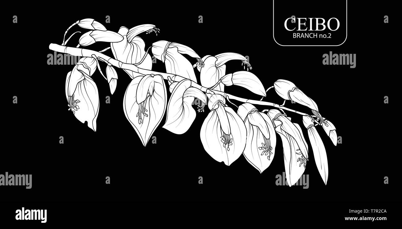 Cute hand drawn white silhouette Ceibo branch set 2. Flower vector illustration in white plane without outline on black background. Stock Vector