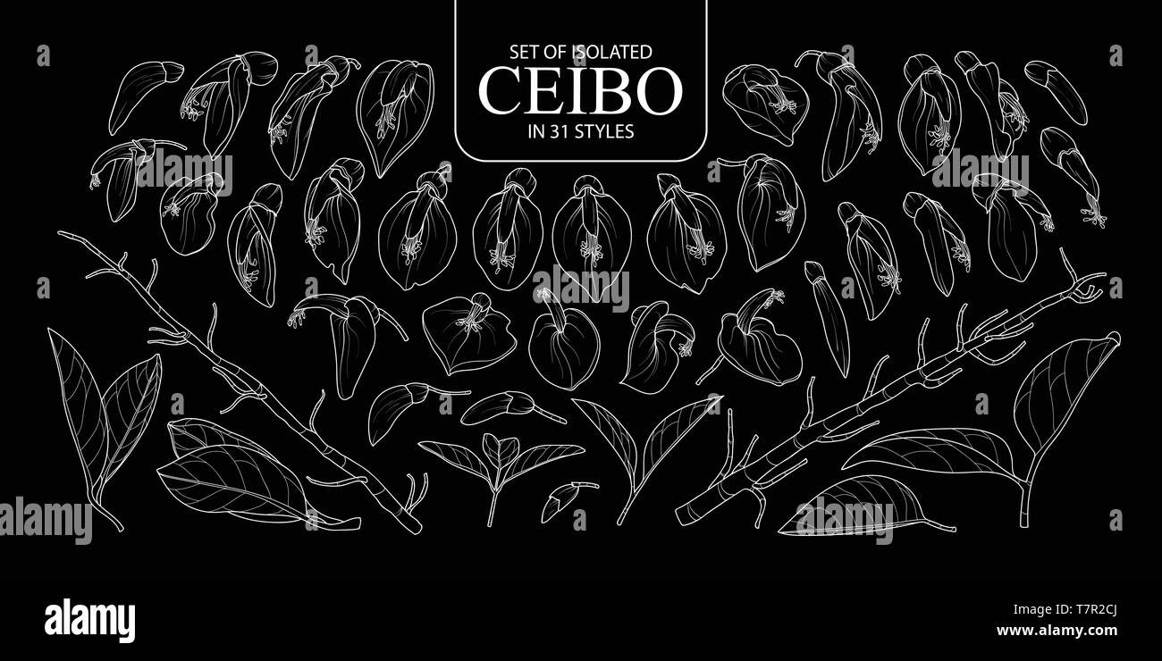 Set of isolated Ceibo in 31 styles. Cute hand drawn flower vector illustration only white outline on black background. Stock Vector