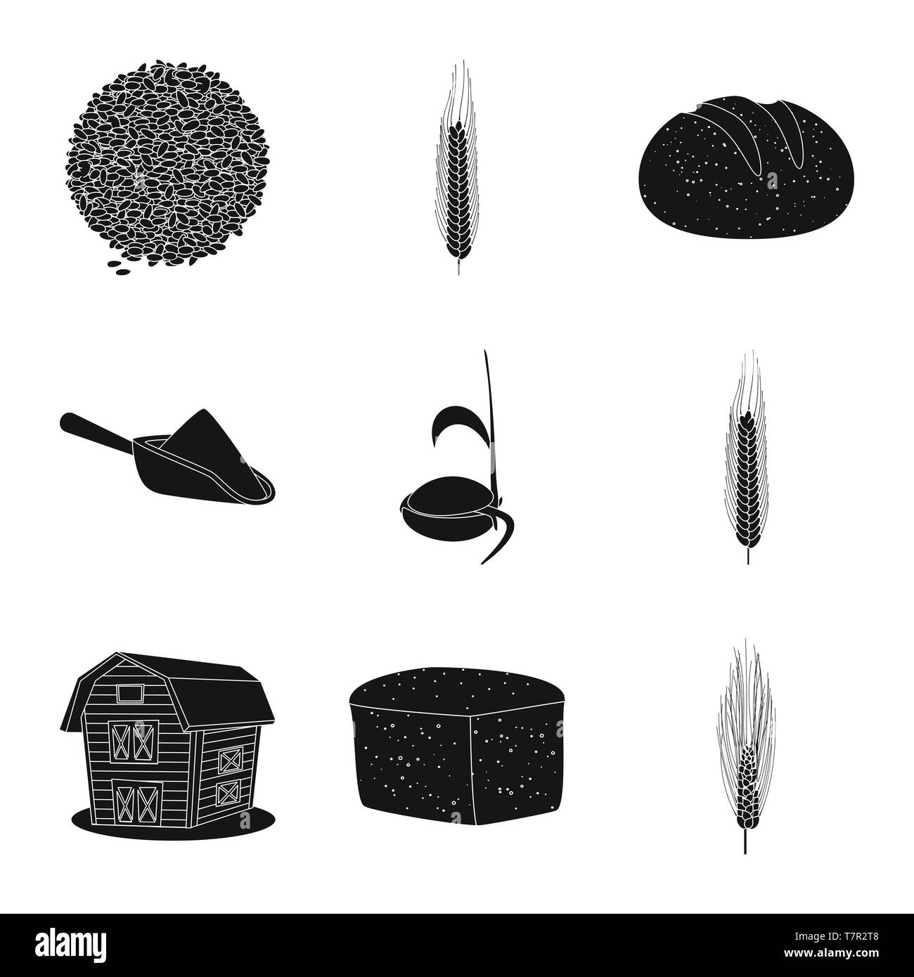 Stages of autumn Black and White Stock Photos & Images - Alamy