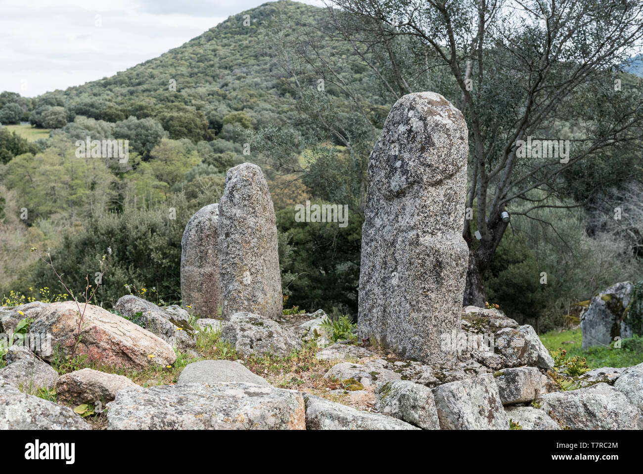 Anthropomorphic menhirs at Filitosa Stock Photo