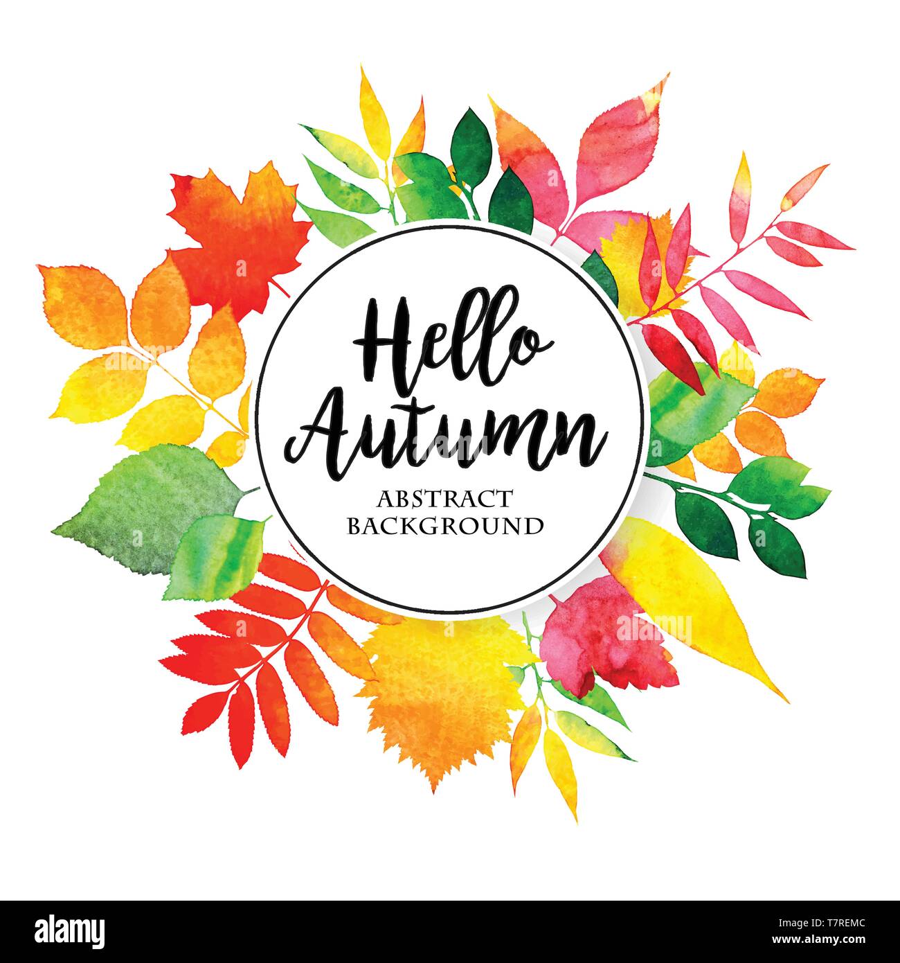 Vector watercolor autumn leaves collection Stock Vector Image & Art - Alamy