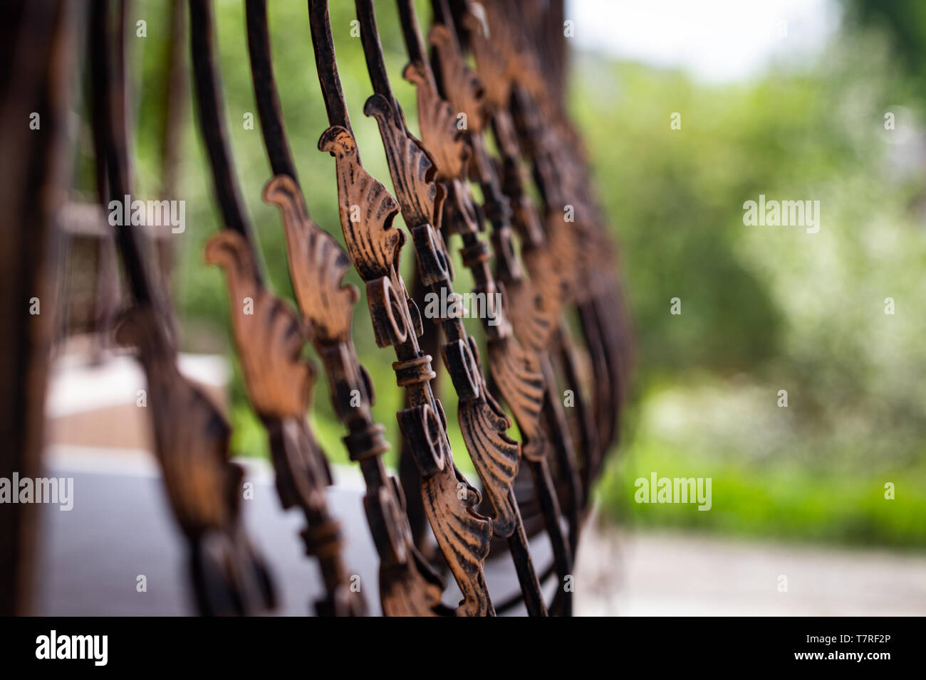 beautiful decorative metal elements forged wrought iron gates Stock ...
