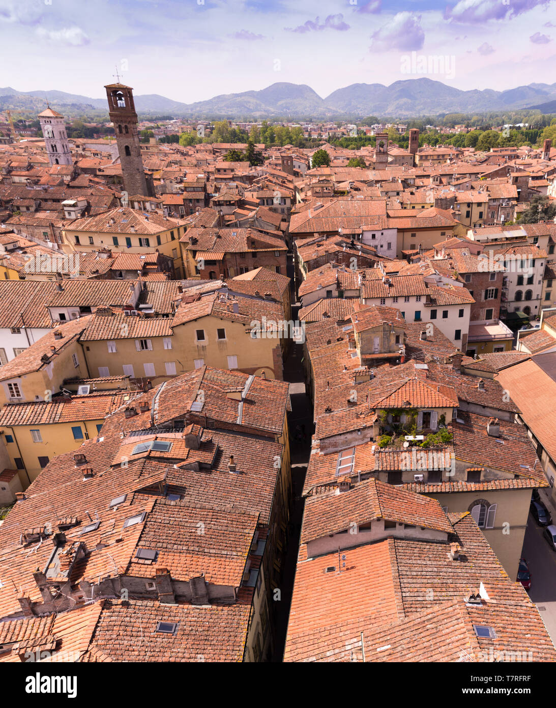 Blick auf die Dächer von Lucca Stock Photo