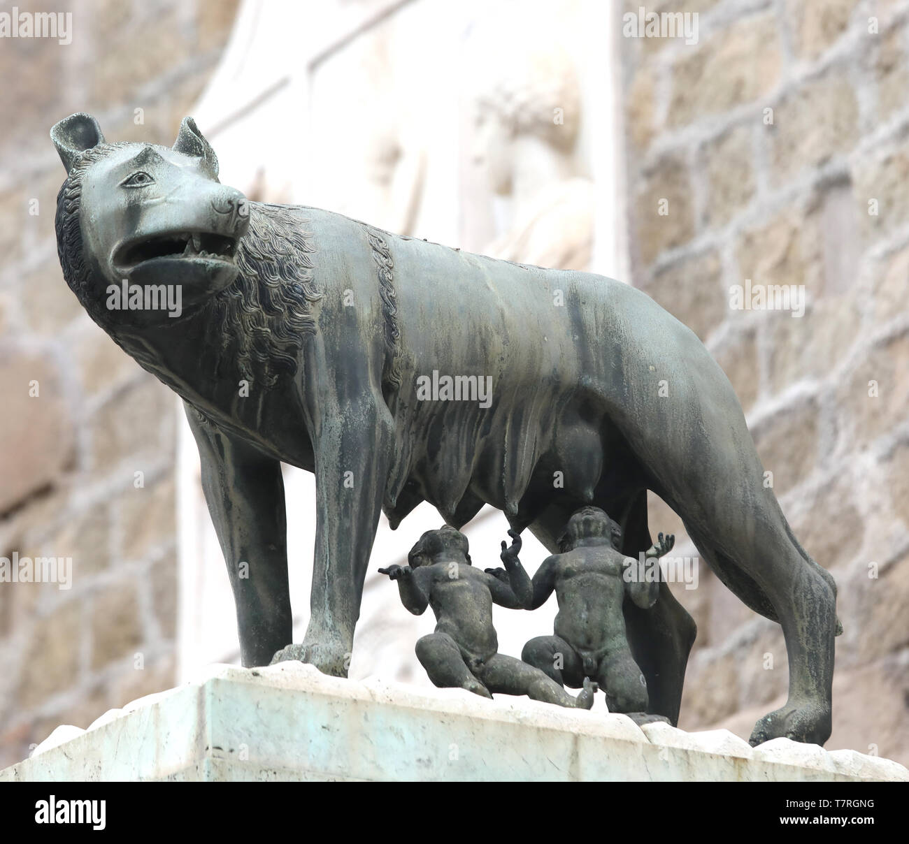 Statue of capitoline wolf also called LA LUPA in Italian Language in
