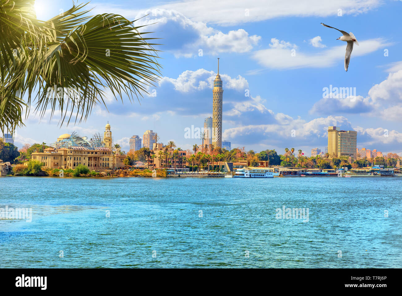 The Cairo tower, beautiful view from the Nile river, Egypt Stock Photo