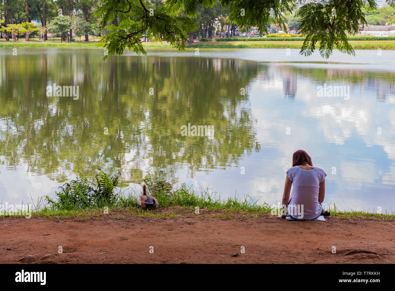 Back view of teenage girl, lonely young woman, sitting on lake shore, with duck on the banks, Lago (Lake) das Garças, Parque (Park) Ibirapuera, Brazil Stock Photo