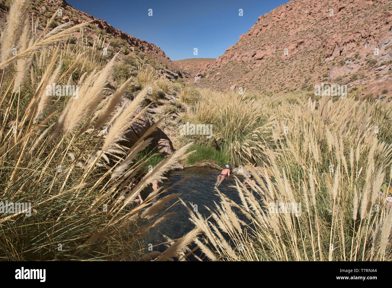 Enjoying the Puritama hot springs, San Pedro de Atacama, Chile Stock Photo