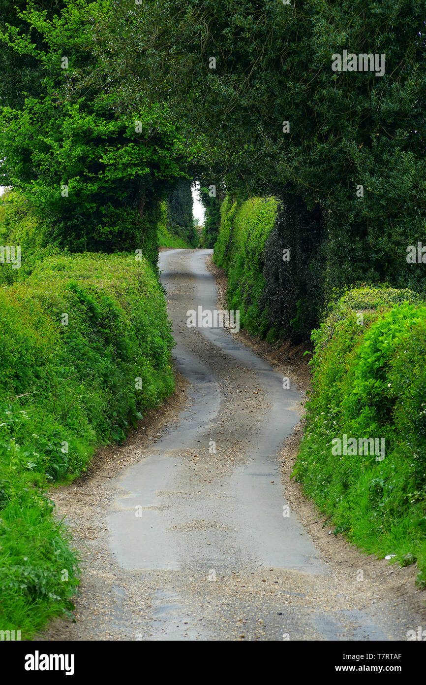 Waterend Lane, near Wheathampstead, Hertfordshire Stock Photo
