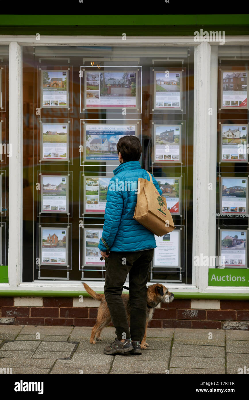 Whitchurch market town in Shropshire, England, near the Welsh border. Lady with dog looking in Halls Estate Agents window Stock Photo