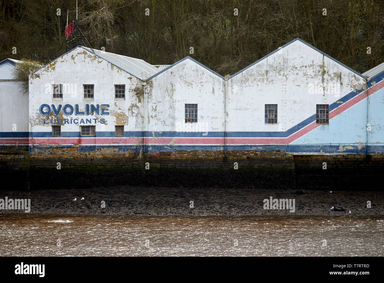 Iconic Newcastle upon Tyne, Ovoline lubricants on the waterfront Stock Photo