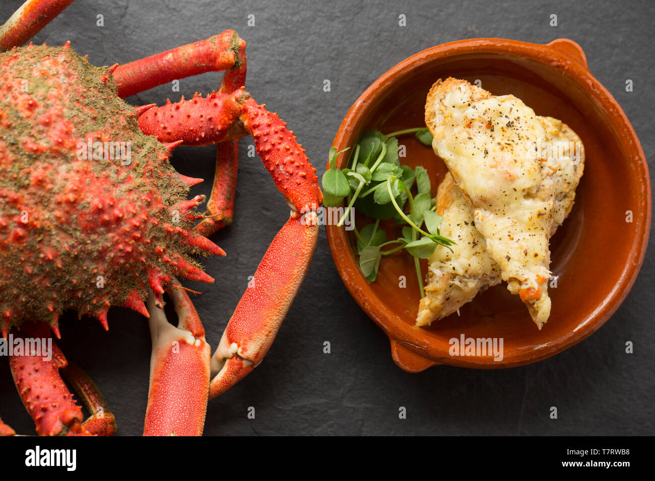 A Homemade Grilled Crab And Cheese Sandwich Made From The Meat Of A Boiled European Spider Crab Maja Brachydactyla That Was Caught In A Drop Net Low Stock Photo Alamy