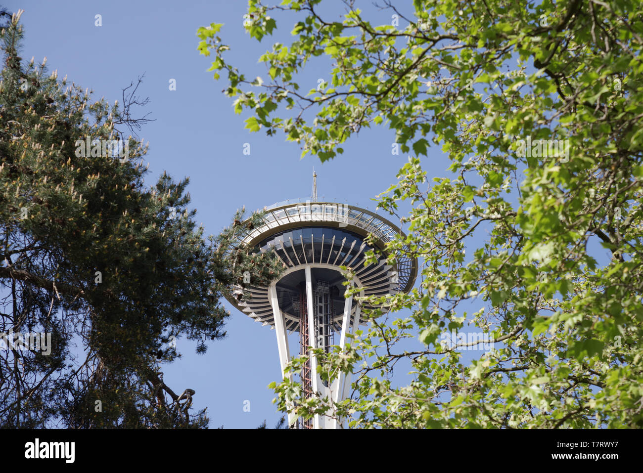 Space Needle observation tower in Seattle, USA Stock Photo