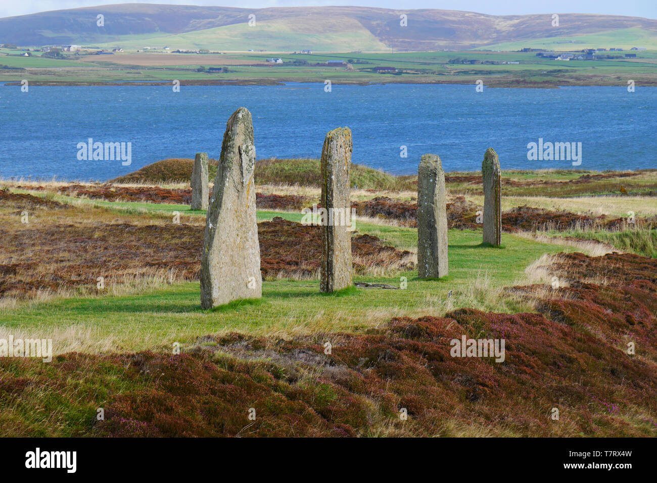 Standing stones in sunshine  in the Ring of Brodgar in Orkney, Scotland, UK Stock Photo