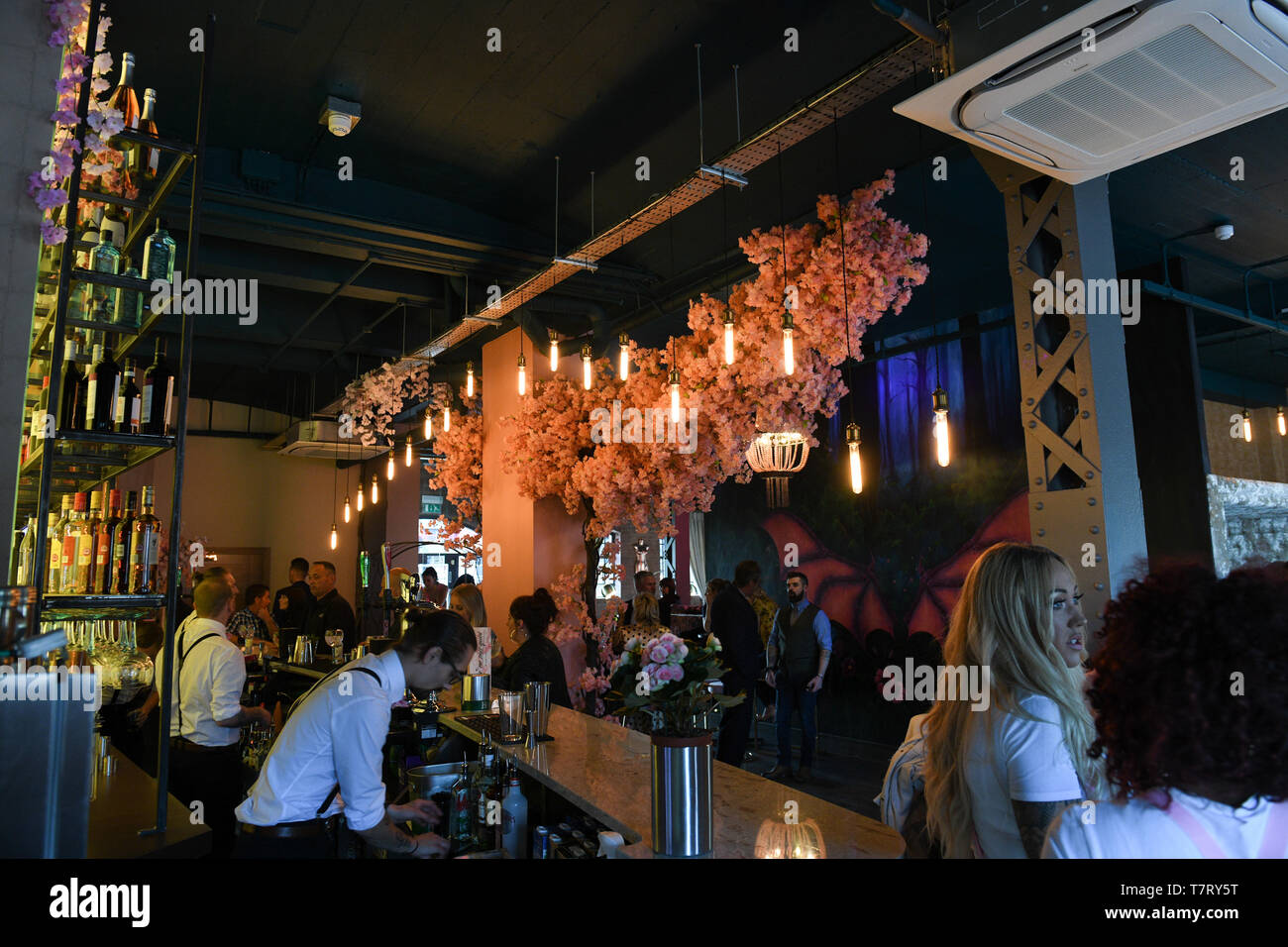 The gin bar hires stock photography and images Alamy