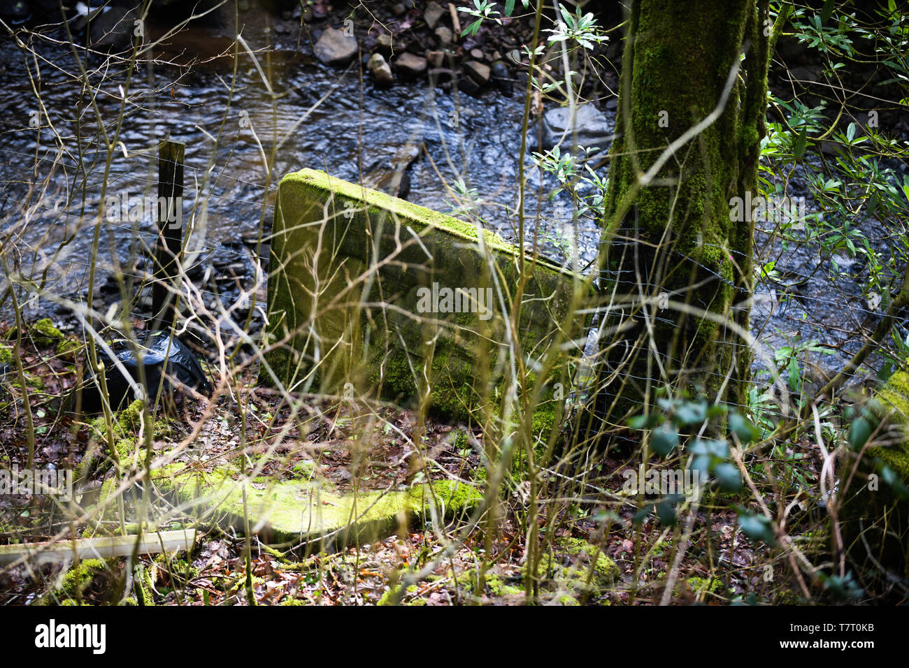 Craig cefn parc hires stock photography and images Alamy
