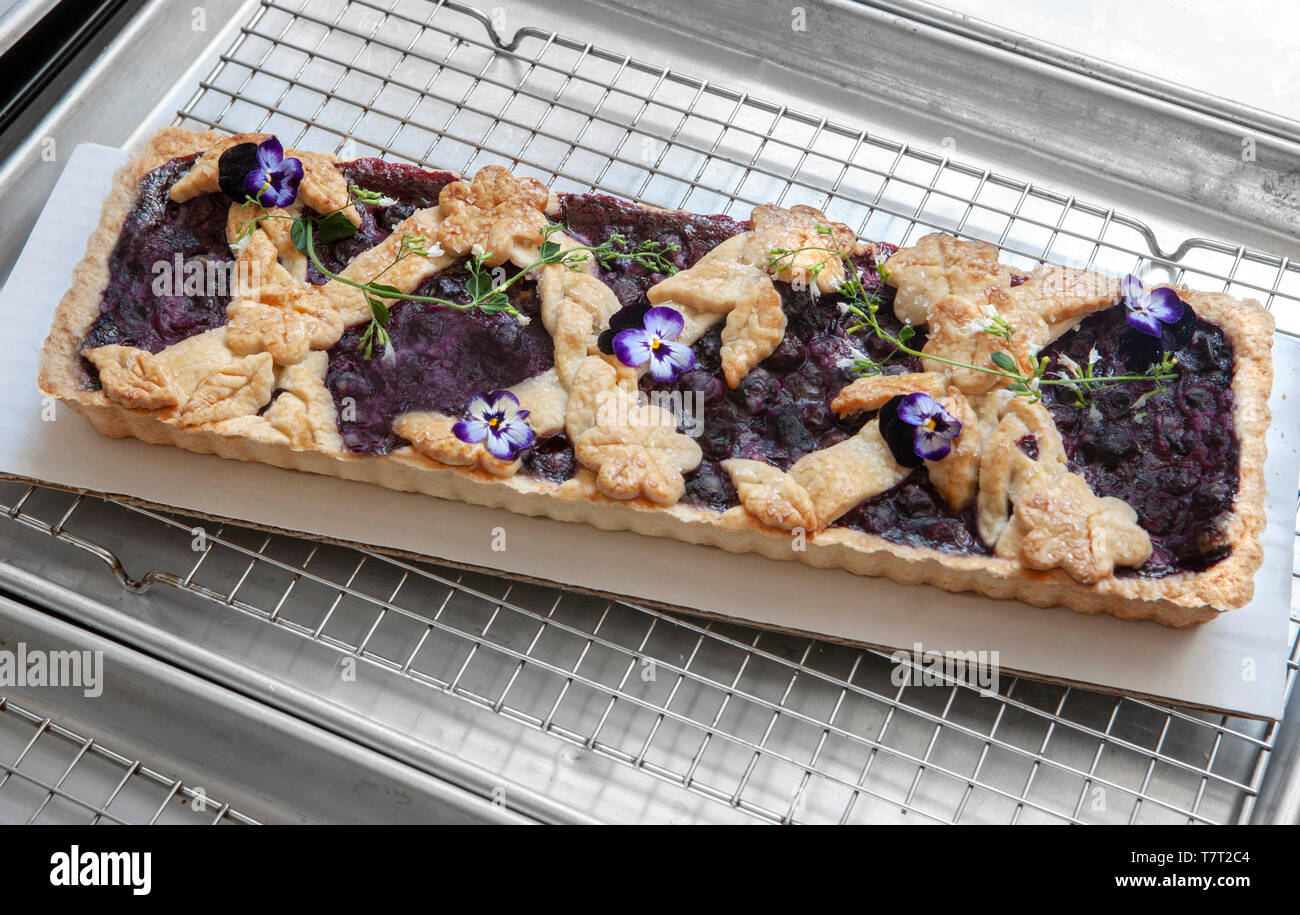 Blueberry Tart with Edible flowers Stock Photo
