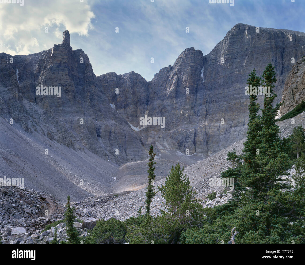 USA, Nevada, Great Basin National Park, Scattered conifers and quartzite boulders occupy ancient glacial cirque below Jeff Davis Peak (left) and Wheel Stock Photo