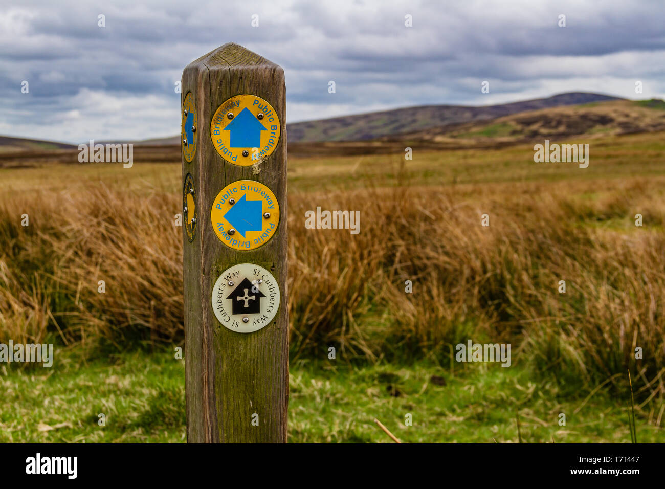 A post marking a public bridleway and the walking route of St Cuthbert's Way in the Cheviot Hills, Northumberland, UK. May 2019. Stock Photo