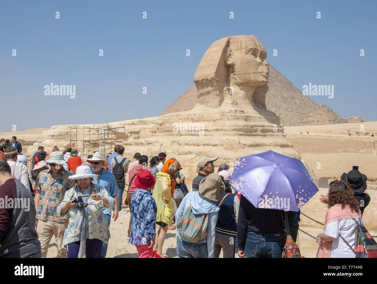 Tourists view the Great Sphinx of Giza. The colossal statue is said to have been created around 2500 BCE for Pharaoh Khafra, and bears his likeness. Stock Photo
