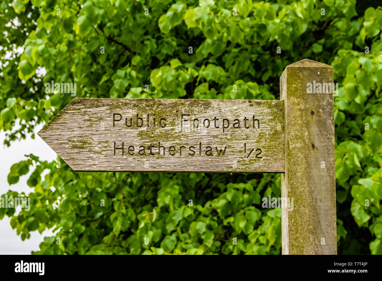 Wooden Public Footpath sign to Heatherslaw in Northumberland, UK. May 2018. Stock Photo