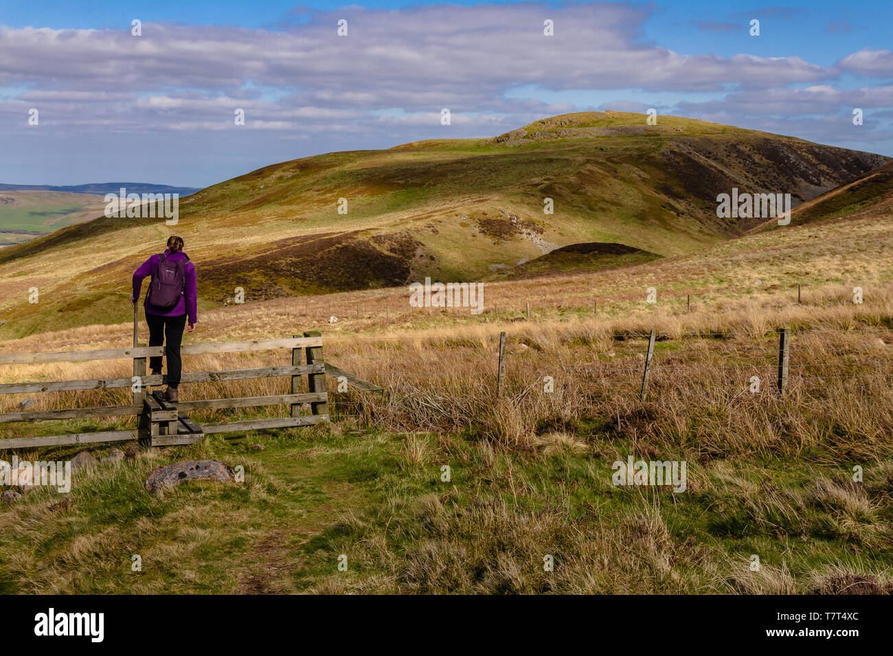 Northumberland national park hires stock photography and images Alamy