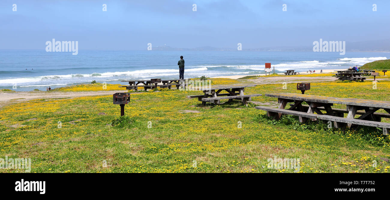 Half Moon Bay Beach, California Stock Photo Alamy