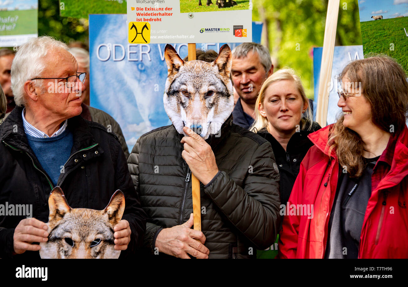 hamburg-germany-09th-may-2019-a-participant-in-a-demonstration-against-the-wolf-wears-a-mask-in-the-form-of-a-wolfs-head-at-the-92nd-conference-of-environment-ministers-and-senators-credit-axel-heimkendpaalamy-live-news-T7TH96.jpg